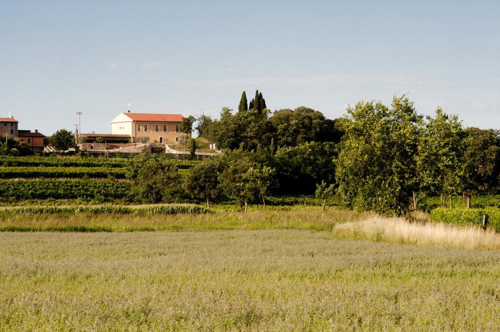 Agriturismo Panorama Salionze Ngoại thất bức ảnh