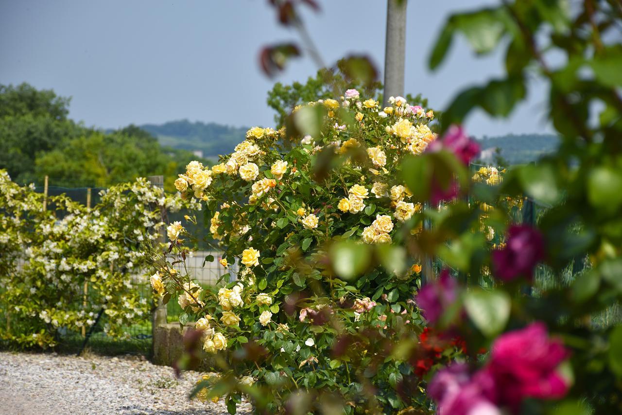 Agriturismo Panorama Salionze Ngoại thất bức ảnh